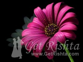 Girl Rishta proposal for marriage in Lahore Sheikh or Shaikhs